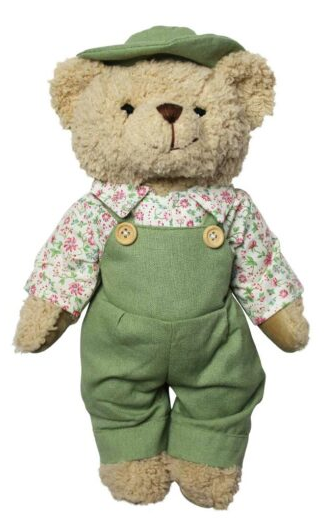 Green Dungarees and Hat Teddy Bear